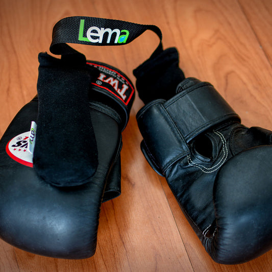 LEMA Deshumecedor de art[iculos deportivos