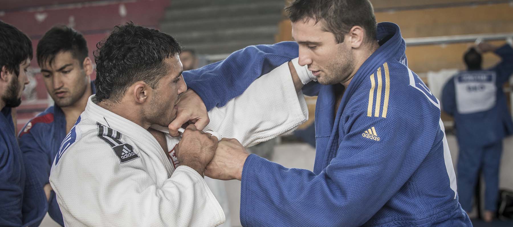 panel código postal Culpa Diferencias entre el Judo y el Jiu Jitsu brasileño - MARXIAL