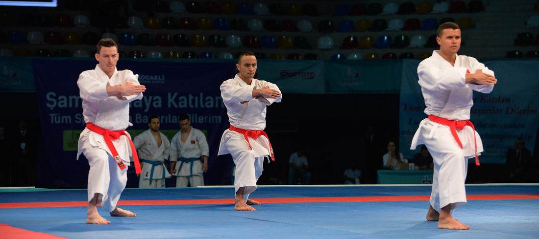 Qué es el Kata en las artes marciales? | Blog MARXIAL