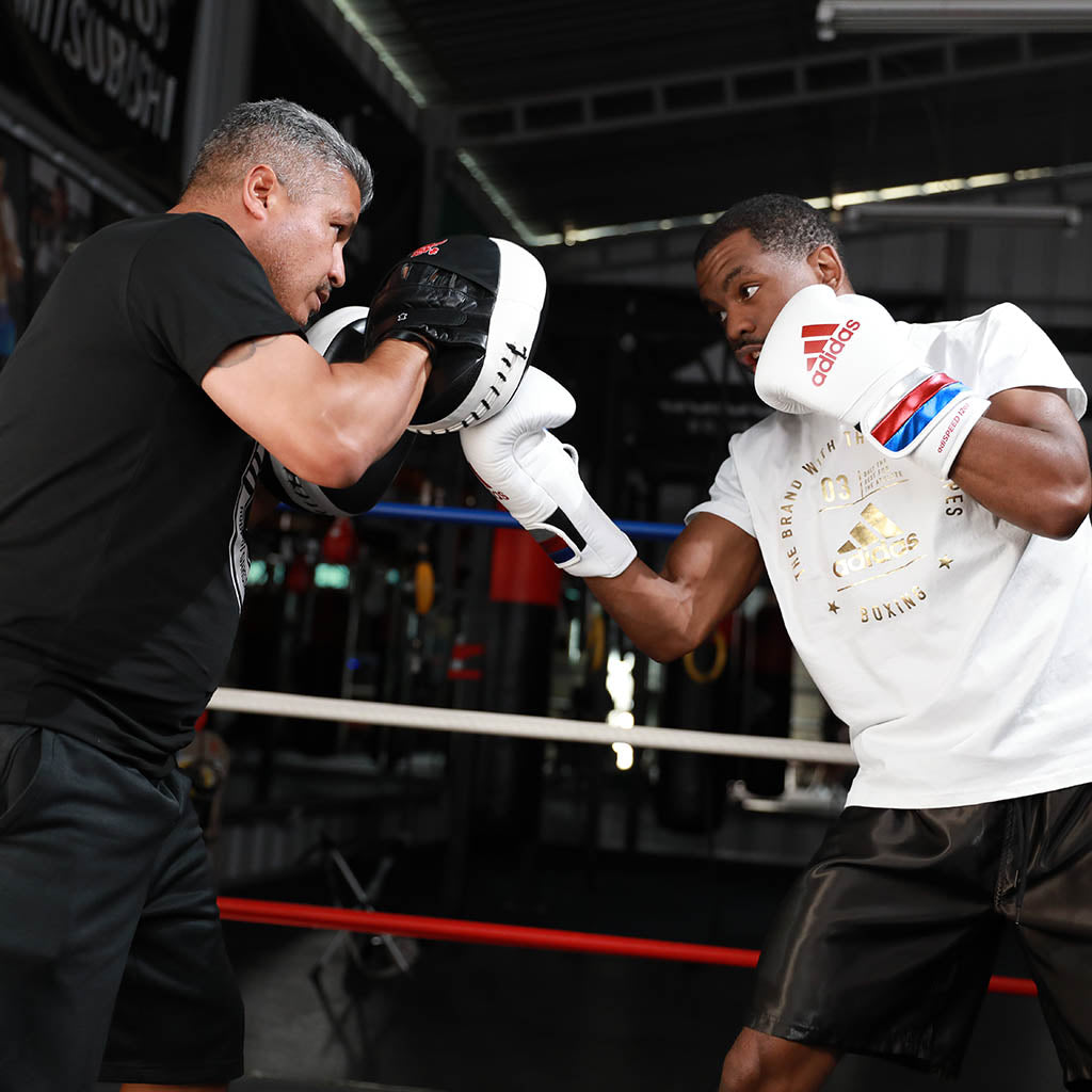 Guanteletas de Boxeo